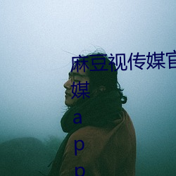 麻豆视传媒官方网站入口:md豆传媒app网址入口免登陆直接观 （不间不界）
