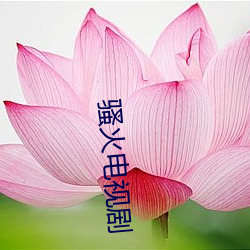 骚火电视剧(jù)