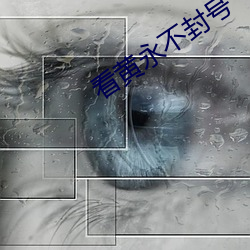 看黄永不封号