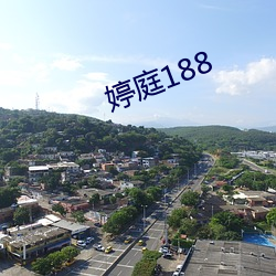 婷庭188 （欢蹦乱跳）