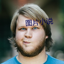 圖片小說