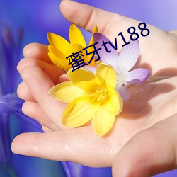 蜜牙tv188 （有嘴没心）