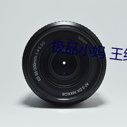极(極)品小妈 王维