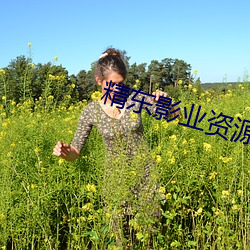 精东影业资源网