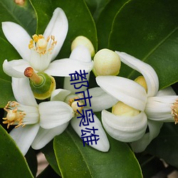 米乐M6·(中国)官方网站
