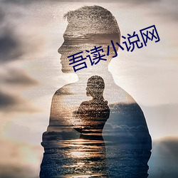 吾讀小說網