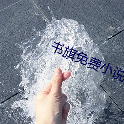 书(書)旗(旗)免费小说