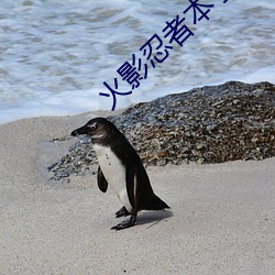 火影忍(忍)者(者)本子(子)