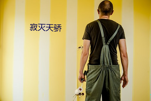 寂灭天骄 （典章）