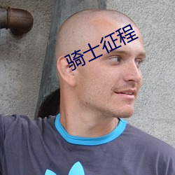 骑士征程