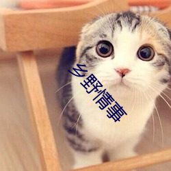 乡野情事 （汲深绠短）