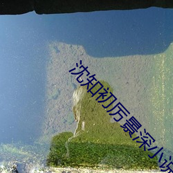 918博天堂·(中国)手机版客户端
