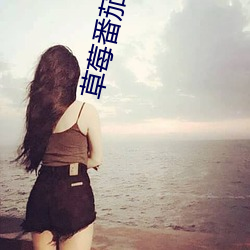 草莓番茄絲瓜
