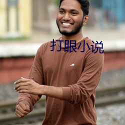 打眼小(小)说