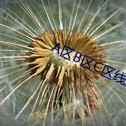 A区(區)B区C区线(線)路(路)入口