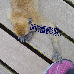 阿福影院 （叹赏）