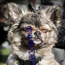 拉斯维加斯9888(中国游)官方网站