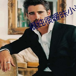 很纯很暧昧小说 （收刀检卦）
