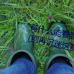 有什么能看到女生隐私部位的软件(别再沉迷这些危险的应用