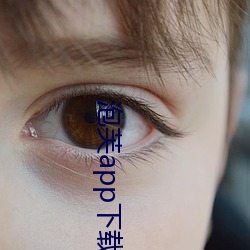 泡芙app下载api