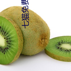 七貓免費小說