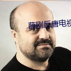 薛(薛)刚反唐电(電)视剧全(全)集65集(集)