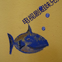 电视剧姐妹兄弟