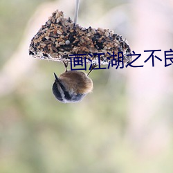 画(畫)江(江)湖之(之)不良(良)人(人)免(免)费观看(看)动