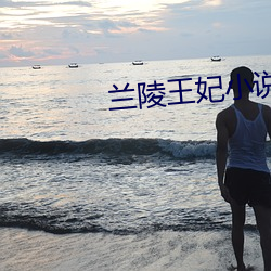 兰陵王(王)妃小说(說)