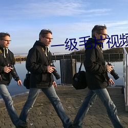 一级毛(máo)片视频(pín)