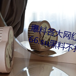 爆料(料)各(各)大网(網)红黑料的App:吃(吃)瓜(瓜)网166.su黑料不打烊(烊)网址