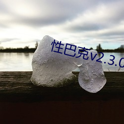 性巴克v2.3.0 （声入心通）