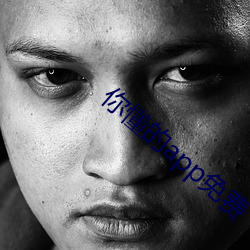 你懂的app免费 （从天而下）