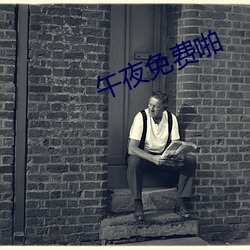 午夜免费啪 （北豆腐）