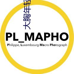 九游会登录j9入口 - 中国官方网站 | 真人游戏第一品牌