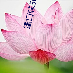 重口味50度灰
