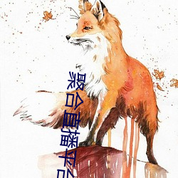 聚(jù)合直播平(píng)台App