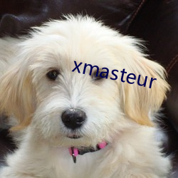 xmasteur