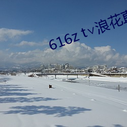 616z t∨浪花(花)直(直)播(播)
