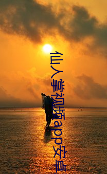 仙人掌视频app安卓版