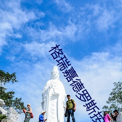 格瑞嘉德罗斯an震惊器 （束手听命）