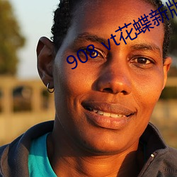 908 vt花(花)蝶新版