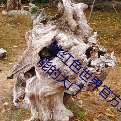 桃紅色世界官方頁進入:打開一扇通往無限可能的大門