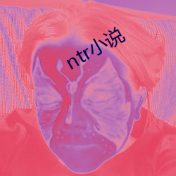 ntr小说