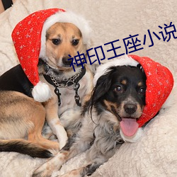 神印王座小说