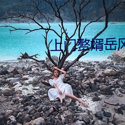 上門贅婿嶽風