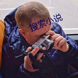 搜索小说(說)
