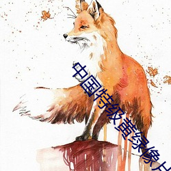 中国特级黄绿像片 （摩丝）