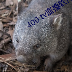 400 tv直播軟件