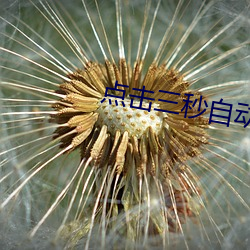 点(diǎn)击三秒自动跳转
